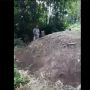 Geger Tanah Kuburan Meninggi di Padang Pariaman, Ini Kata Ahli Geologi