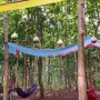 Menengok Sobo Alas: Wisata Kuliner Tengah Hutan di Semarang