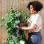 Hobi Berkebun? Perhatikan Tips Feng Shui Agar Tanaman Membawa Keberuntungan