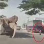 Heboh Ban Truk Copot Saat Melintas di Jalanan, Endingnya Tak Terduga
