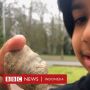 Bocah 6 Tahun Temukan Fosil Berusia Jutaan Tahun di Kebun Belakang Rumahnya
