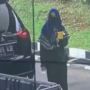 Baku Tembak! Penyerangan Teroris Wanita Terjadi Dekat Ruang Kerja Kapolri