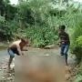 BKSDA Sumbar Ungkap 2 Daerah yang Dicurigai Lokasi Penyiksaan Hewan Langka