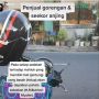 Aksi Mulia Ibu Berhijab Beri Makan Anjing Gorengan Sukses Bikin Haru