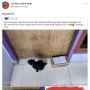 Pembeli Ngamuk, Paket Seharga Rp 22 Juta Ditinggalkan di Depan Pintu Rumah