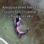 Istri Kesal Suami Beli Ikan Cupang Mahal, Publik Bersyukur Lihat Endingnya