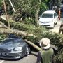 Korban Pohon Tumbang Bisa Ajukan Klaim ke Pemkot Bandung