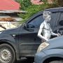 Pemberi Uang Manusia Silver di Sleman Kena Denda, Warga Palbapang Bunuh Diri Usai Kirim WA