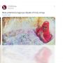Meme Kocak soal Aturan Bayar Royalti Putar Lagu