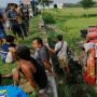Truk Terguling ke Sawah Gara-gara Supirnya Panik Disengat Lebah