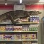 Viral Biawak Raksasa Datangi Minimarket, Pengunjung Histeris