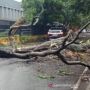 Waspada, Sumsel Masuk Musim Pancaroba Berpotensi Angin Puting Beliung