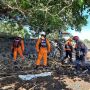10 Korban di Lembata Masih Hilang, 4 Hari Dicari hingga ke 3 Pesisir Pantai