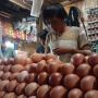 Harga Telur Ayam Melambung Jelang Tahun Baru, Rp30.000 per Kilogram