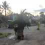Kesal Tak Kunjung Diaspal, Warga Tanam Pohon Pisang di Jalan Rusak