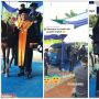 Kocak, Deretan Kendaraan Unik yang Dibawa Mahasiswa Saat Wisuda Drive Thru