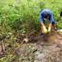 Geger! Kerangka Manusia Ditemukan di Kebun di Nagan Raya