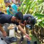 Geger! OB Temukan Mayat Bayi Perempuan di Tong Sampah RS Bunda Aliyah Depok