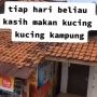 Khawatirkan Kucing-Kucing yang Langganan Diberi Makan, Ibu Rela Lakukan Ini