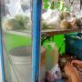 Serabi Khas Minang di Medan, Sehari Seratusan Bungkus Terjual