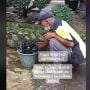 Sedih! Jual Es Buah Keliling, Dagangan Bapak Ini Tumpah Sebelum Dijajakan