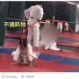 Dipaksa Latihan Judo, Bocah 7 Tahun Koma Setelah Dibanting 20 Kali