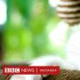 Ilmuwan Temukan Dua Kucing Positif Virus Corona