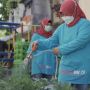 Apresiasi Perjuangan Kartini, BRI Peduli Bantu 18 Lokasi Urban Farming