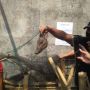 Kuburan Diduga Babi Ngepet Viral Dibongkar Polisi, Bangkainya Diamankan