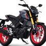 Yamaha MT-15 Makin Segar, Dipoles Sentuhan Grafis dan Warna Gres