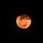Daftar 8 Fenomena Langit April 2026, Ada Pink Moon Hingga Parade Planet
