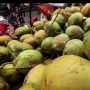 Kelapa Hijau Dipercara Bisa Tangkal Covid-19, Kini Diburu Banyak Warga