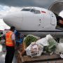 Jelang Ramadhan, Aktivitas Kargo di Bandara Kualanamu Meningkat Signifikan