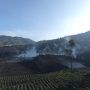 Horeeee! Pemkab Banjarnegara Pastikan Objek Wisata Dieng Dibuka 10 September