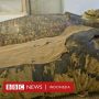 Misteri Mumi Perempuan Hamil Tua Berusia Lebih dari 2.000 Tahun