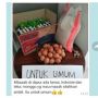 Viral Ibu Kos Idaman, Sering Tinggalkan Makanan Enak Untuk Para Penghuni