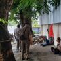 Meresahkan, Pengemis di Depan Rumah Dinas Gubernur Sumbar Dihalau Satpol PP