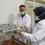 Uji Klinis Eucalyptus terhadap SARS-CoV-2, Begini Hasilnya