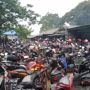 Jelang Larangan Mudik, Penumpang Kapal Ferry di Konawe Selatan Membludak
