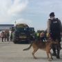 Dengkul Lemes... Sudah Hampir Sampai Bali, Pemudik Diusir Disuruh Pulang