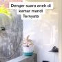 Telusuri Suara Aneh dari Kamar Mandi, Sosok di Pojokan Bikin Geleng-geleng
