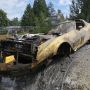 Bersih-Bersih Dasar Sungai, Orang Ini Malah Temukan Mobil Mewah