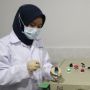 Uji Klinis Eucalyptus Terhadap Virus Covid-19 Sangat Menggembirakan