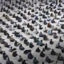 Masjid DKI Boleh Gelar Salat Jumat Hari Ini, Kapasitas Jemaah Maksimal 25 Persen