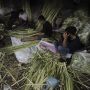 Penjualan Kulit Ketupat Mulai Meningkat Jelang Idul Fitri