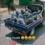 Viral Video Sekawanan Kingkong Mudik, Bikin Melongo Pengguna Jalan