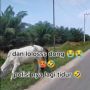 Viral Wanita Ngaku Lolos Penyekatan Mudik, Bergaya Emak-emak Pulang Pasar