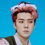 Ada Tanah Hingga Hutan, 8 Kado Unik dari Fans untuk Idol KPop