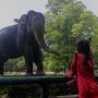 Ragunan Dibuka Hanya untuk Pengunjung Ber-KTP DKI Jakarta