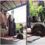 Kucing Berulah, Satu Keluarga Tahan Tawa saat Salat Ied, Videonya Viral